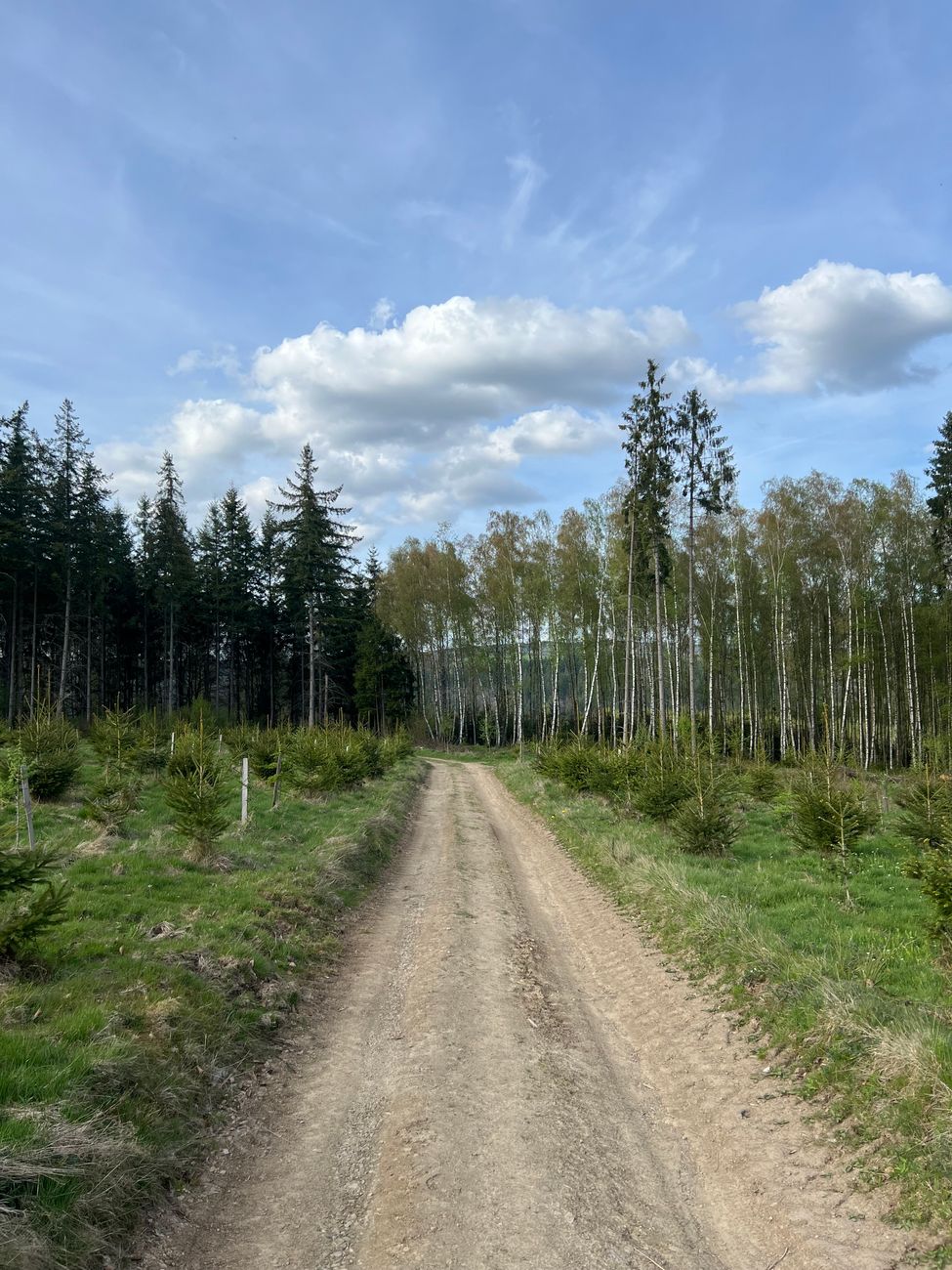 Bossen en heuvels in de Ardennen